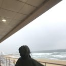 경포생태지 이미지