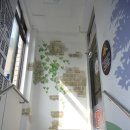 비타민PC 이미지