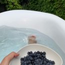 스테이3355 이미지
