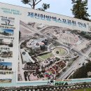 [충북제천] 한방의 모든것이 있는 제천 한방 엑스포 공원 이미지