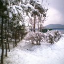 가평의아침 이미지