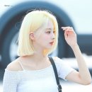 나인컨셉