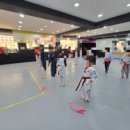 선 태권도장 이미지