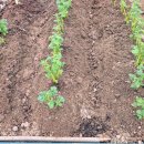 문산농약사 이미지