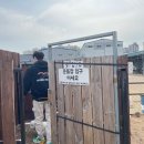59독 | [강서구 애견카페] 넓은 운동장이 있는 &#39;59독&#39;