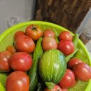 사돈농장 이미지