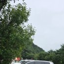 중사지농장 | 평창 아이랑 가볼만한곳 숲속에동물농장 내돈내산 200%강추 진짜 짱좋았어요ㅠㅠ