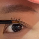 포레스트모가 이미지