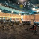 스테디 휘트니스(안중점) 이미지