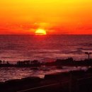 무 진 정 이미지