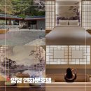 호텔양양놀자 | 강원도 양양 호텔 추천 신상 숙소 연화문 객실 조식 후기