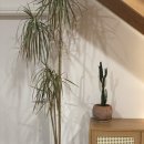 비행기발자국제주감성자쿠지펜션 이미지