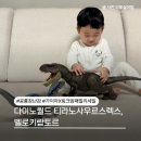 렉스할인마트 | 다이노월드 티라노사우르스렉스, 벨로키랍토르 공룡장난감 가이아X링크맘 패밀리세일에서 만나요