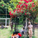 자연과아이들 이미지