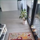 코어비츠 이미지