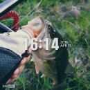 곡성-052 네이버블로그