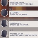 [스포] 사쿠요의 모티브 추측 이미지