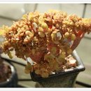 요즘 창 이미지