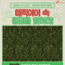 매직닷컴 이미지