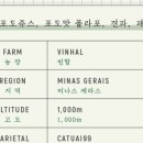여름커피로스터즈