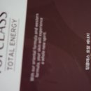 천제연 담팔수나무 이미지