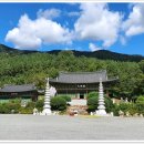 무안영산 이미지