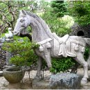 초원의 집 이미지