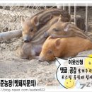 명준농장 이미지