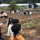 중산농장 이미지