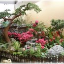 간척3리 이미지