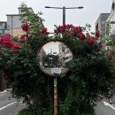 커핑 바리스타 | 커피 리브레 ⋰ ˚ 커핑