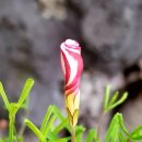 금호전자 이미지