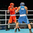 엘리트 복싱 이미지