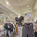 원대로-3 | 홍대 옷가게 코앤클로 3벌 4만원대로 득템 가성비 쇼핑 후기