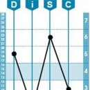 DISC 성향분석 - 2 이미지