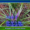 언덕위의 하얀집 이미지