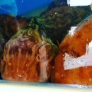 칠형제곰치국 이미지