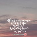 선을 좇으라 이미지