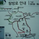 호랑가시나무민박 | 연꽃, 국화꽃, 해바라기 등 꽃창살 무늬가 살아있는 변산 내소사를 찾아서