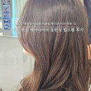 현 | 동탄미용실 추천 헤어다이아 동탄점 현 디자이너 빌드펌 후기