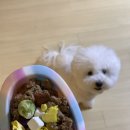 온양동물병원 이미지