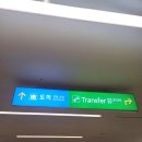 둔산봄약국 이미지