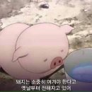 장우대구막창 이미지