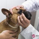 하트동물병원 이미지