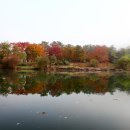 침벽공원 이미지