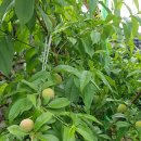 고흥사랑민박 이미지