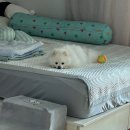 동암동물병원 이미지