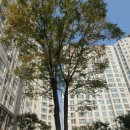 신정네거리공인중개사사무소 이미지