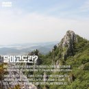 달마고도민박 이미지