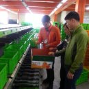 남원읍-25 이미지